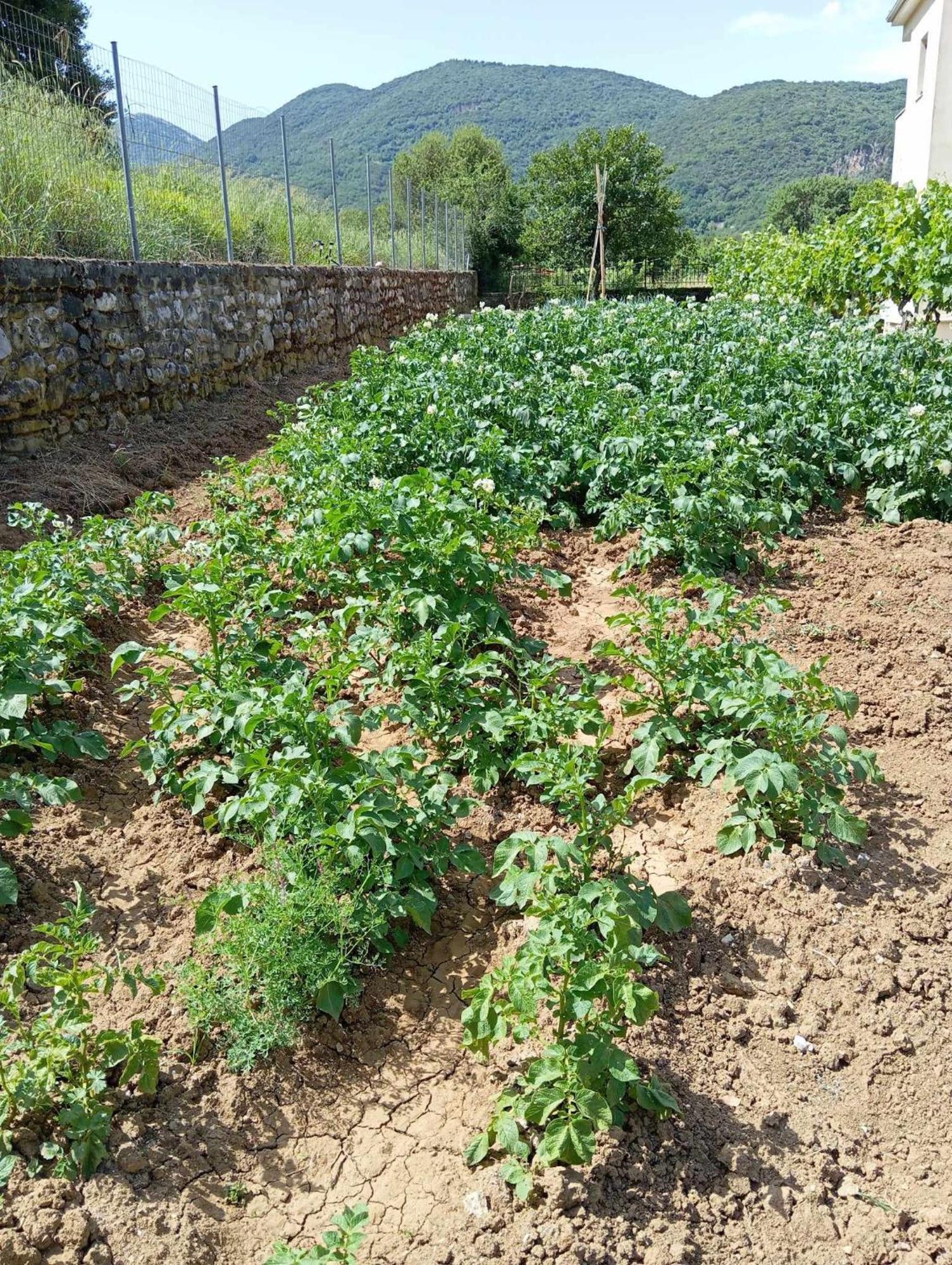 Ξενοδοχείο Σπυριδούλα Κλειδωνιά Εξωτερικό φωτογραφία